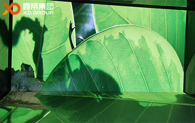 浙江金華火腿公司L幕項目